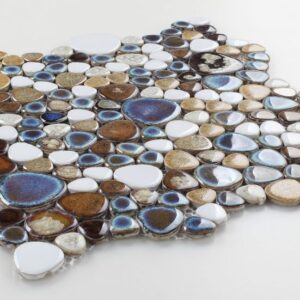 Growing-Mango-11.50x11.50