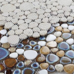 Growing-Mango-11.50x11.50