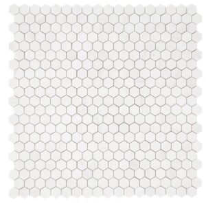 Hexagon-Dolomite-2x2-Honed-12x12-flooringworldonline.com
