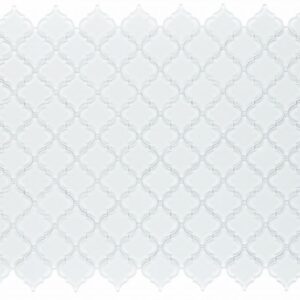 Aladdin-White-Shining-9.2 x13.25