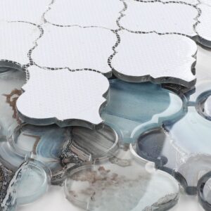 Aladdin-Shell-Blue8.75x12.25