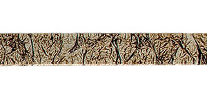 L040-flooringworldonline.com